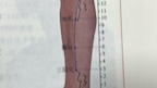 [图]针灸穴位（六） 足太阴脾经