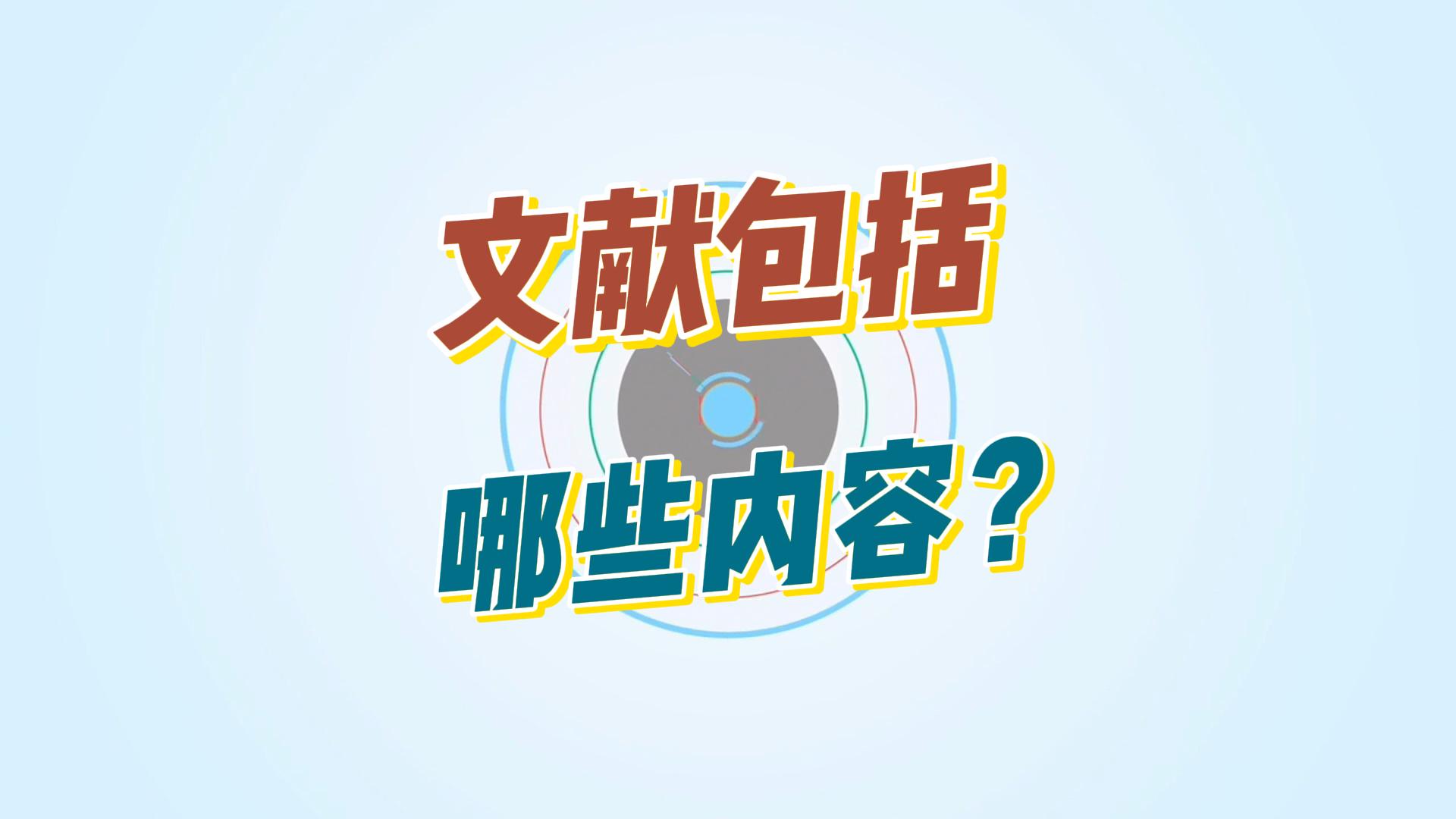 文献具体是哪些内容?哔哩哔哩bilibili