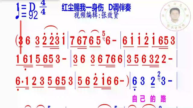 [图]《红尘赐我一身伤》简谱D调伴奏