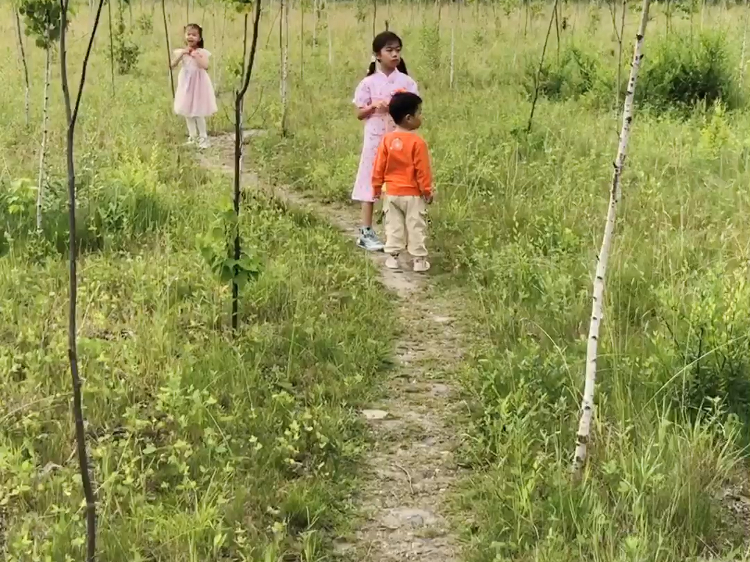 三个宝宝暑期在鹤岗每天找小路探险