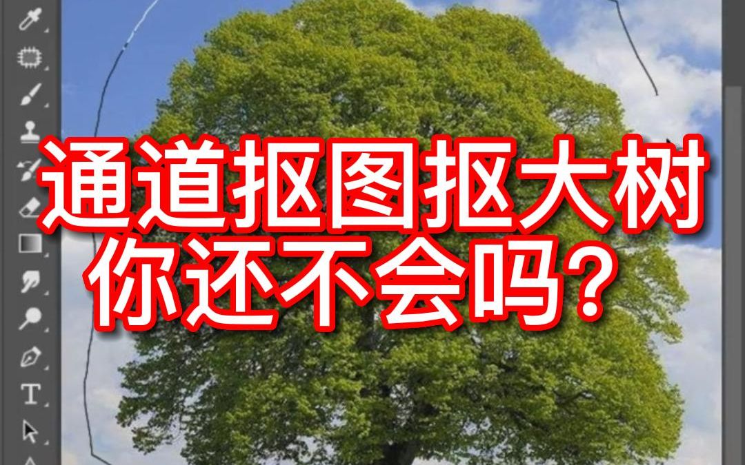 这棵大树怎么抠呢?我来教你用通道抠图,三秒钟简简单单教会你哔哩哔哩bilibili