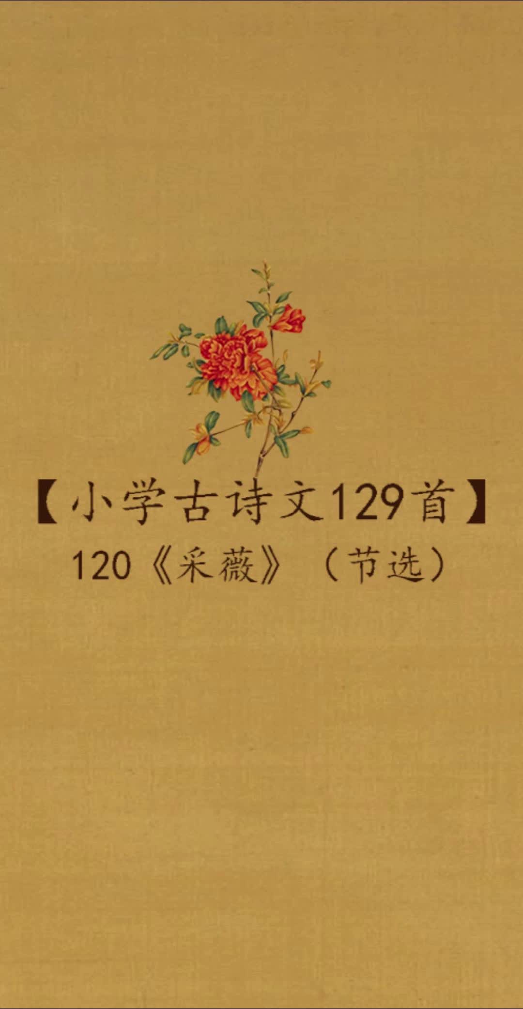 [图]120《采薇》（节选）吟诵版