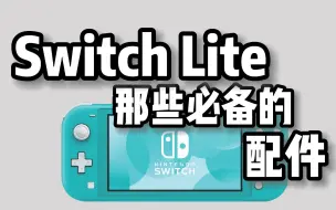 Switch Lite有这些配件就够啦~大家都有了没？