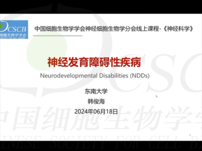 神经科学课程 第二十讲 神经系统发育相关疾病 东南大学 韩俊海教授 中国细胞生物学学会哔哩哔哩bilibili