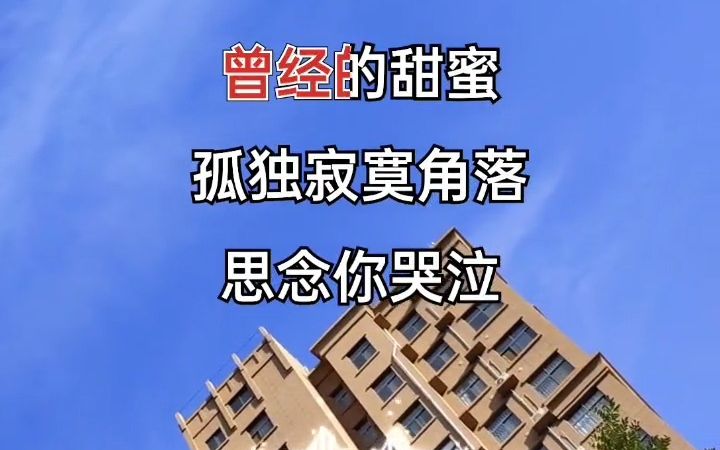 [图]我的快乐就是想你 经典音乐 完整版