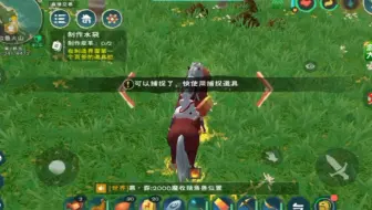 创造与魔法：非洲人抓火马，一抓一个瘸腿