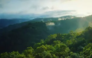 下载视频: 《万物之生》，在人们与自然和谐、有趣的相处方式背后，是“生态兴则文明兴”“绿水青山就是金山银山”的时代表达。