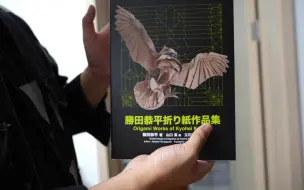 下载视频: 【收藏】 胜田恭平折纸作品集 签名版  你们说什么时候会出胜田2呢？