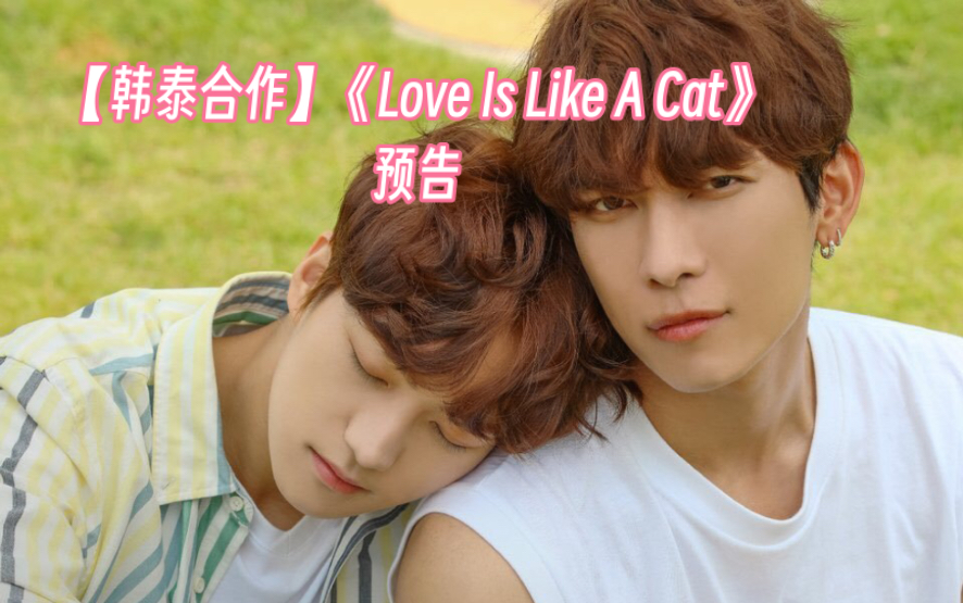 [图]【新剧预告】韩泰合作《Love Is Like A Cat》预告〈Mew X JM (Just B) 主演〉