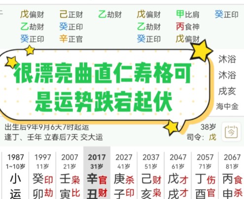 甲木从了曲直仁寿格可惜大运跌宕起伏哔哩哔哩bilibili