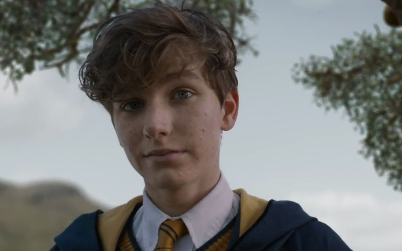 【神奇动物在哪里】混剪;赫奇帕奇学长纽特,勤劳忠诚,今天你wake了吗