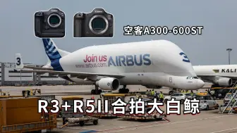 Download Video: 【御成佳能】再见大白鲸！佳能R3&R5II联袂拍摄空客A300-600ST