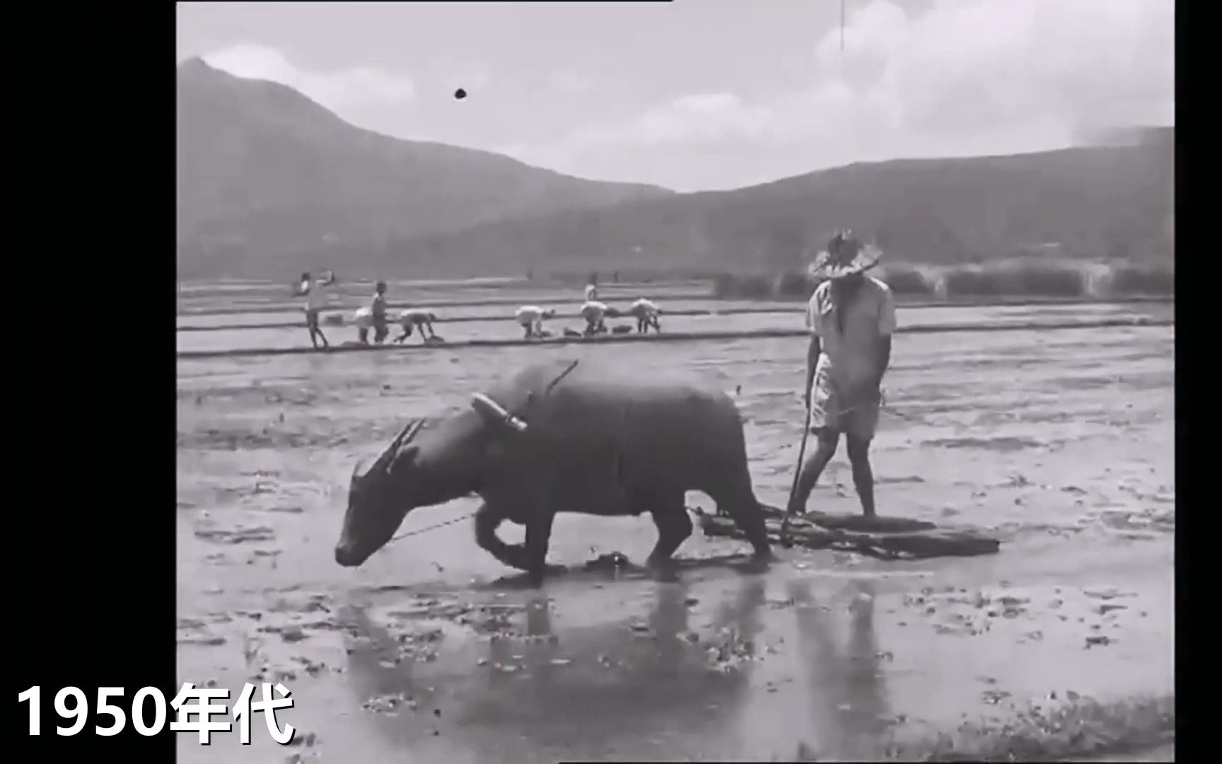 [图]【高清修复】1950年代农村生活记录