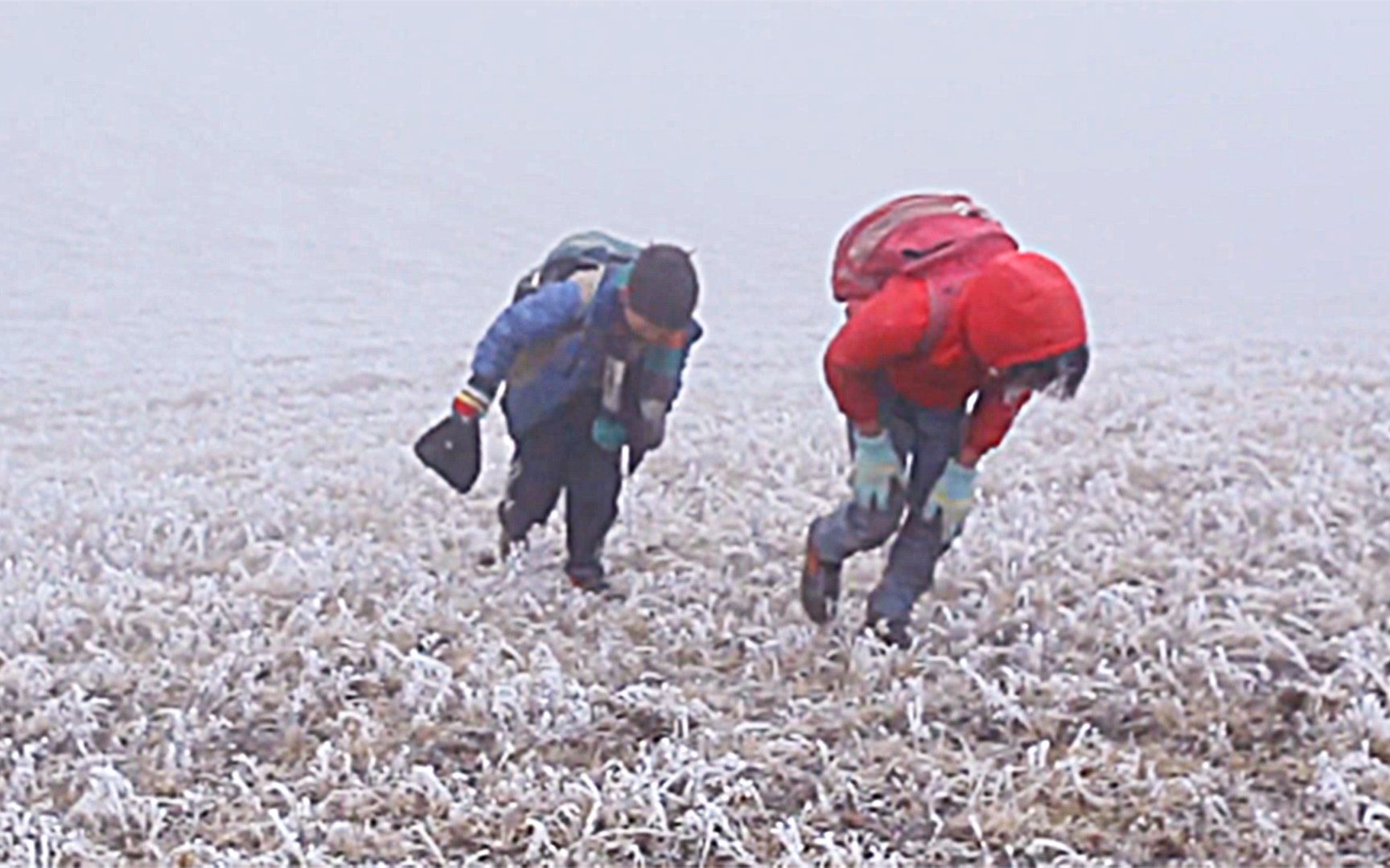 [图]国产最震撼纪录片：4000米高原冰天雪地，两个孩子的上学路！你想象不到孩子们到底有多艰苦！