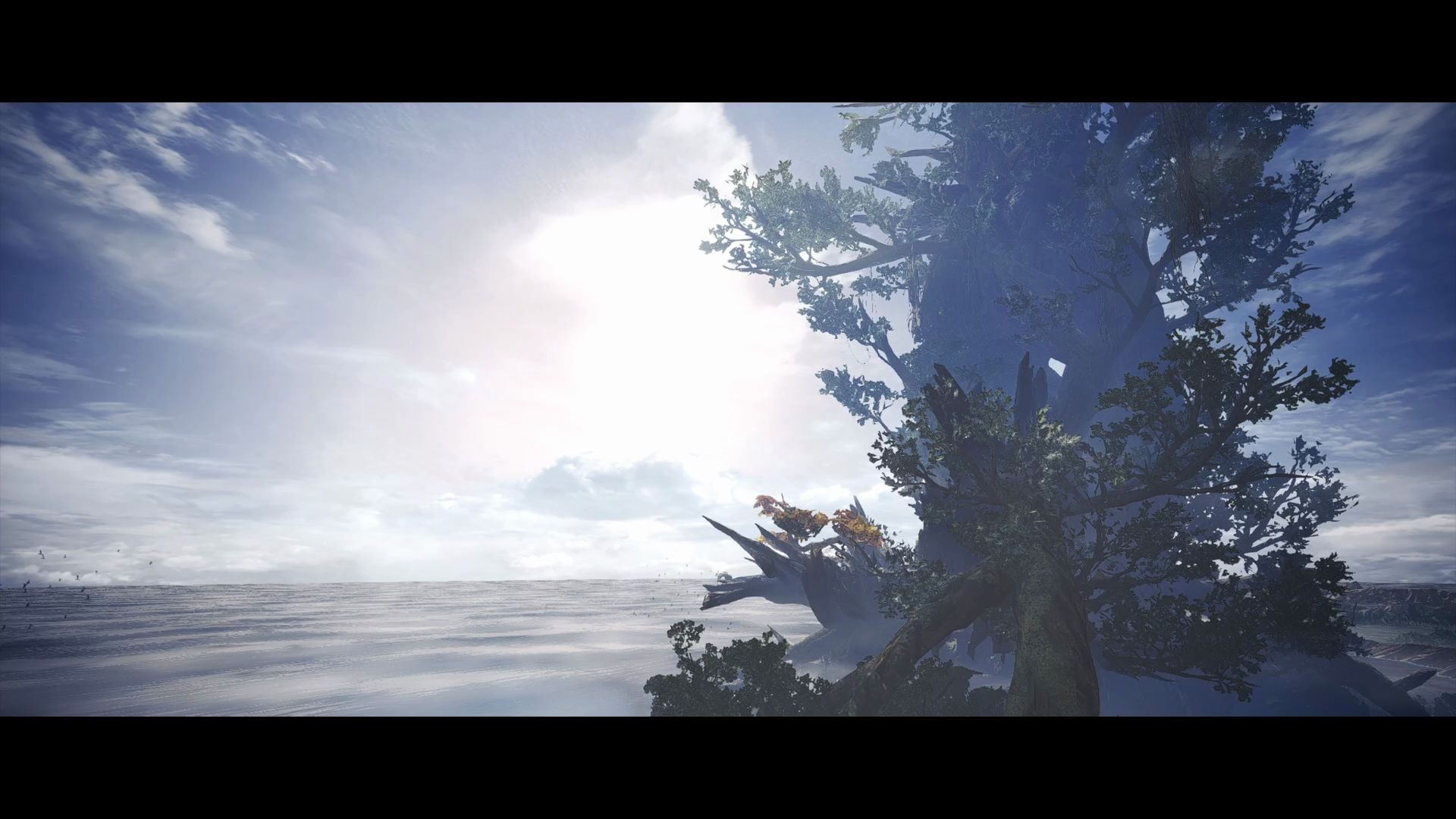 【mhwi】换个角度看新大陆——鸟瞰古代树森林