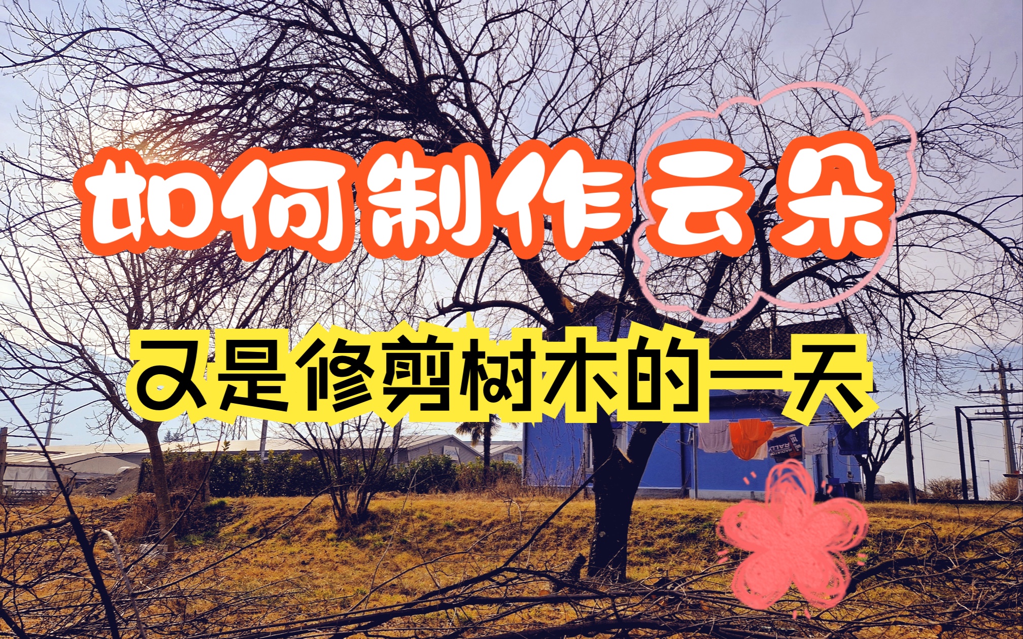 小朋友小实验:如何制作云朵/又是修剪树木的一天