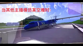 Download Video: 其他主播模拟某空难vs我模拟某空难