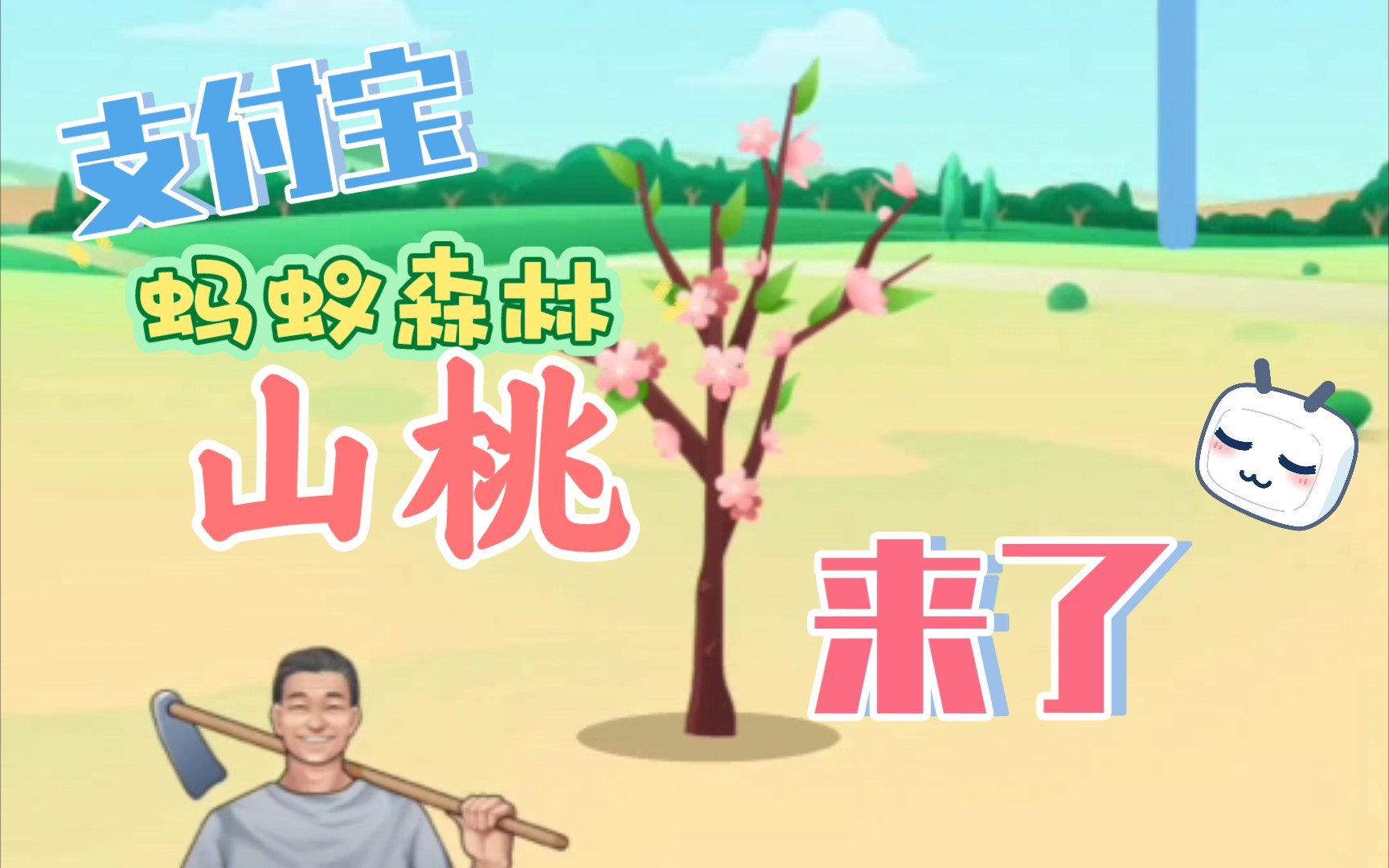 我攒了一年的能量终于种到蚂蚁森林的山桃了