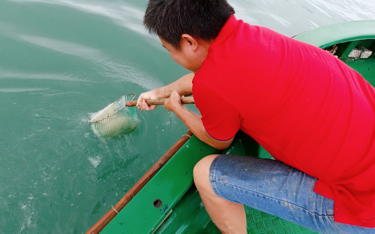 老旺带朋友赶海运气爆棚,意外收获到深海大货,一船人乐坏了