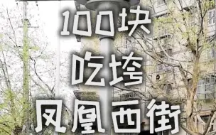 Download Video: 100块带大侄子吃垮凤凰西街，最后还剩3毛在南京能买啥？