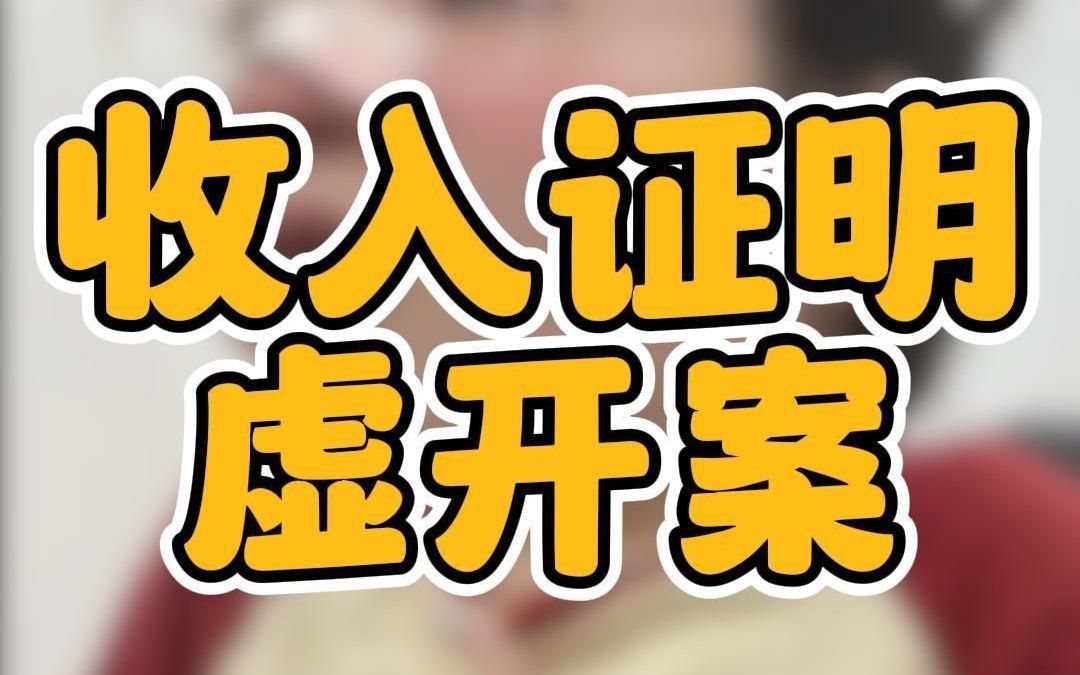 收入证明虚开案哔哩哔哩bilibili