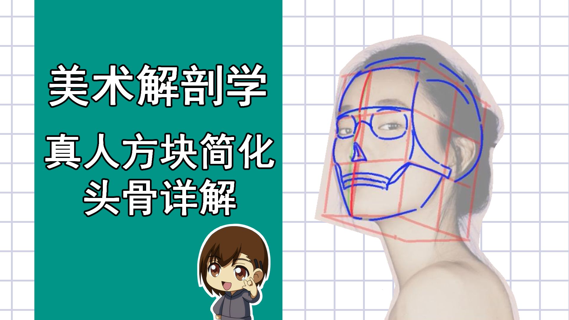 美术解剖学-14-真人方块简化头骨详解