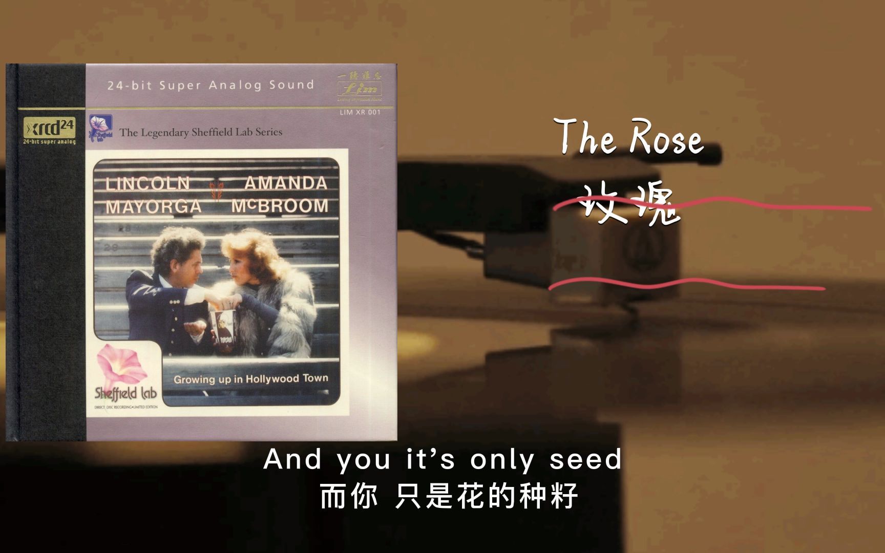 [图]录音犀利演唱感人至深 发烧大姐大的经典名曲 Amanda McBroom - The Rose