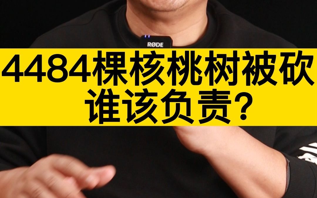 4484棵核桃树被砍,谁该负责?哔哩哔哩bilibili