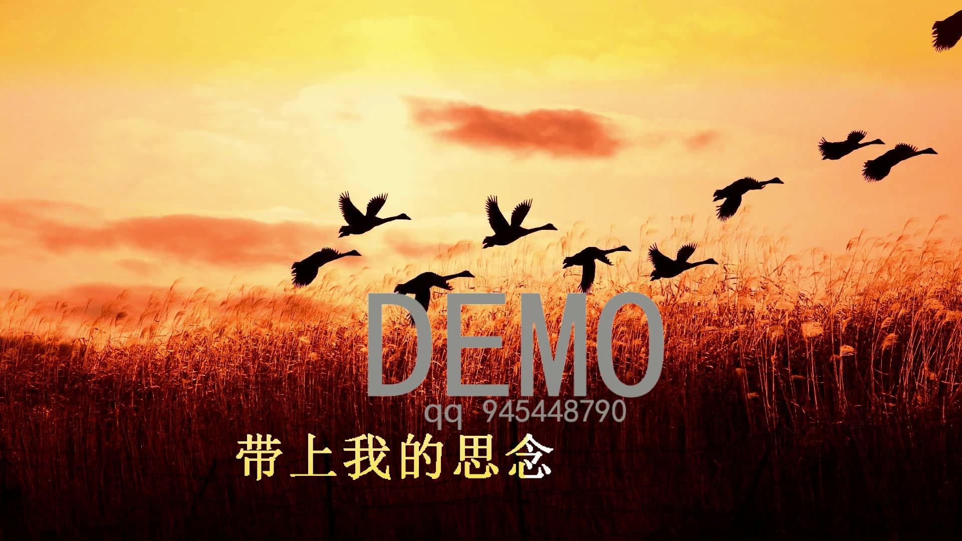 485鸿雁原唱音乐歌词字幕版民族歌舞led大屏幕舞台背景视频new