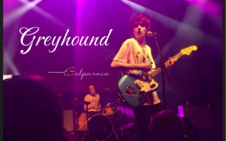 [图]Greyhound live——Calpurnia