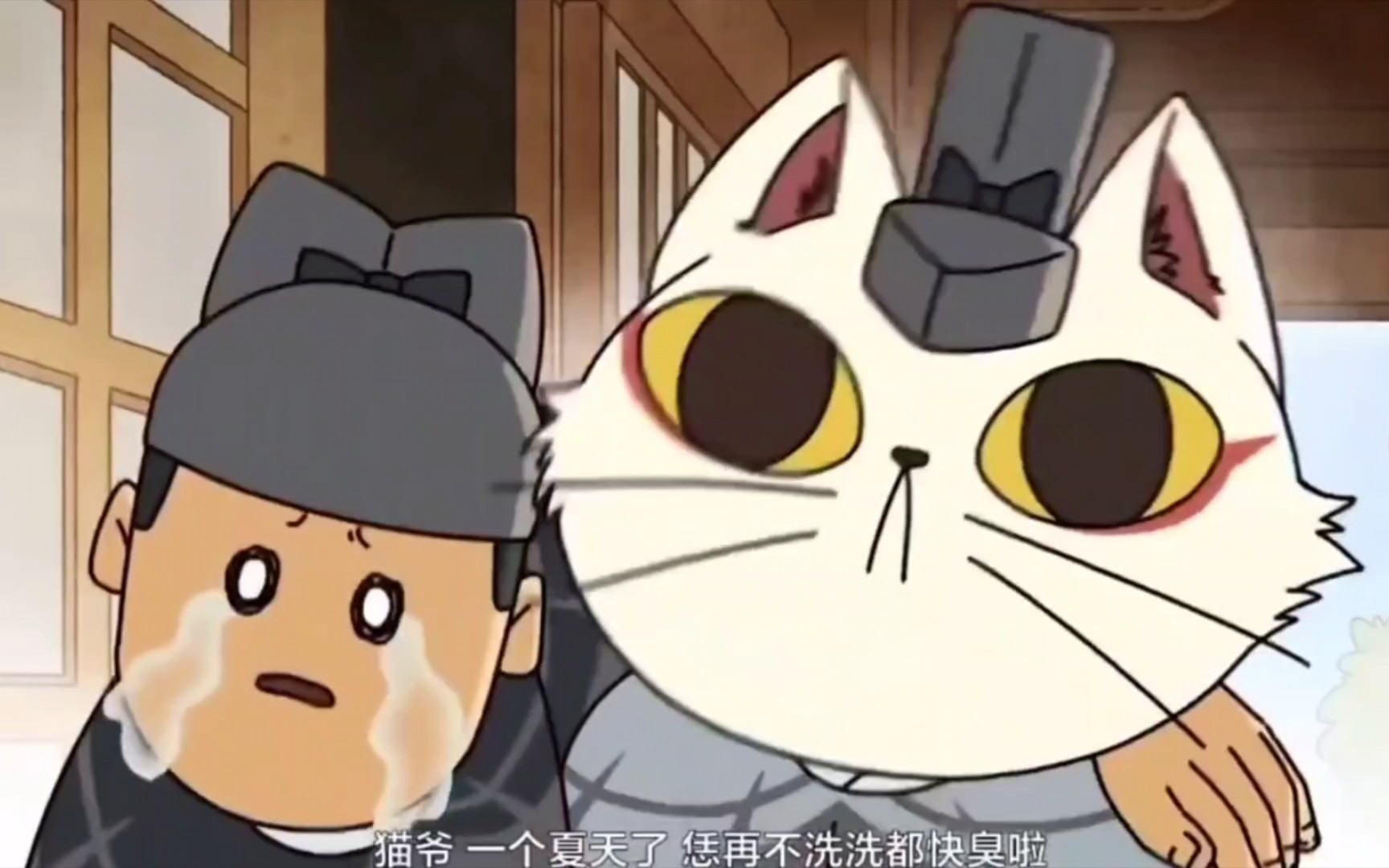 大理寺日志,陈拾他们竟强制帮猫爷洗澡 #猫爷