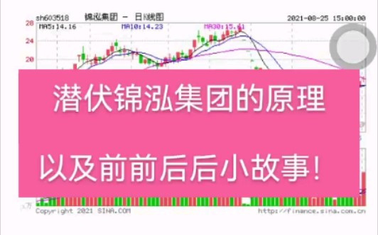 潜伏锦泓集团的原理,以及前前后后小故事!哔哩哔哩bilibili