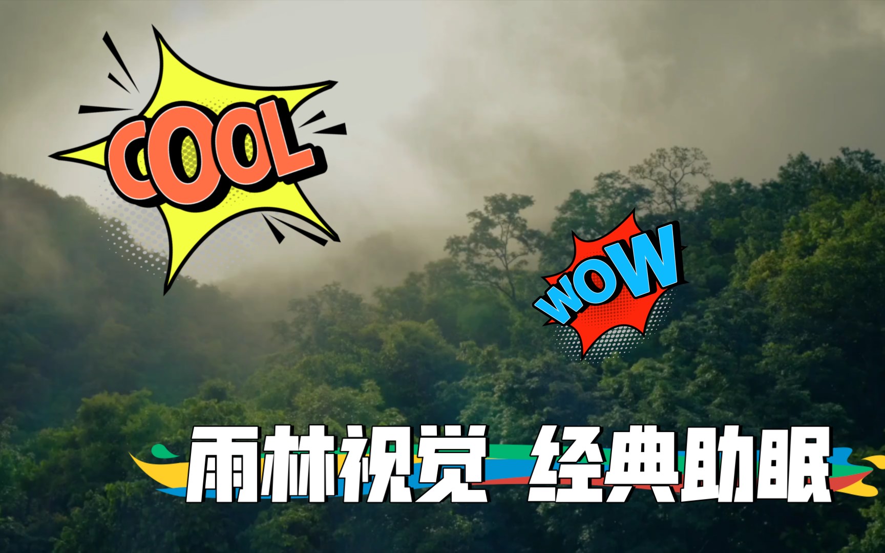舒服的雨林环境伴随着菟菟萌酱的助眠让您忘记一天的烦恼,放松身体