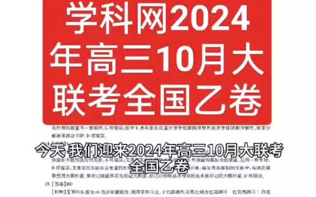 学科网2024年高三10月大联考全国乙卷各科试题答案解析已汇总完毕哔哩哔哩bilibili