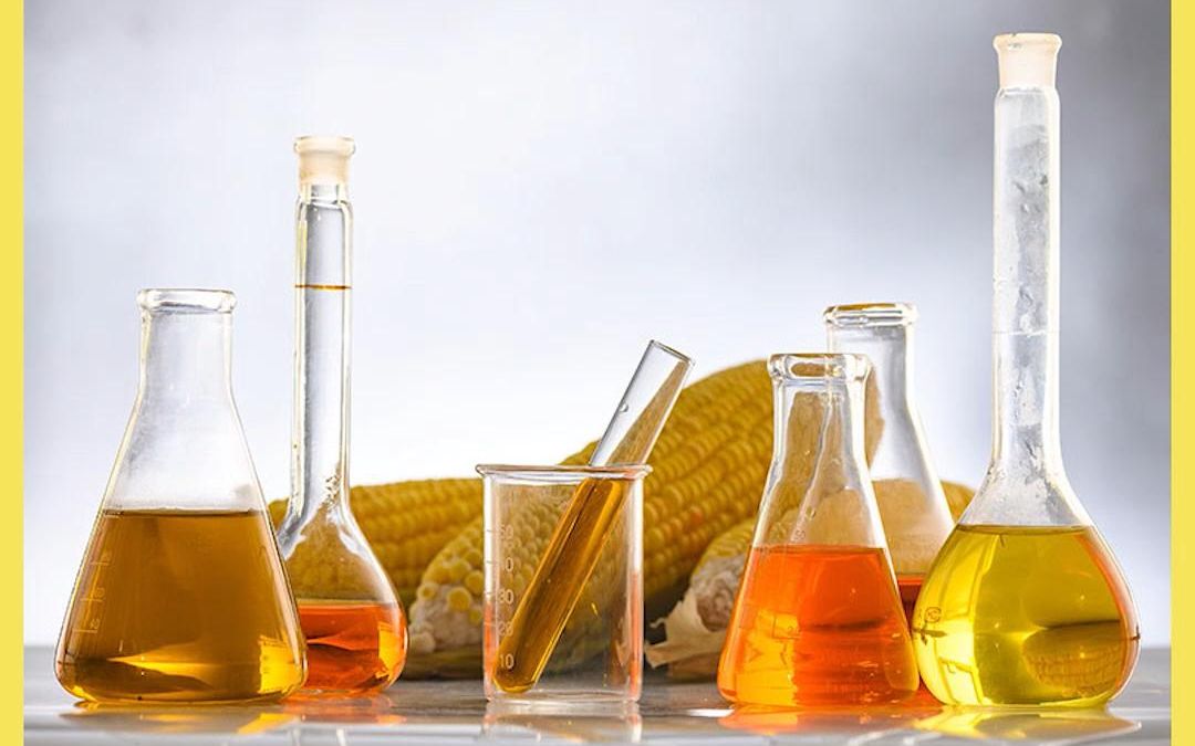 用地沟油提炼出的生物柴油,既环保还能减少废弃物的排放#纪录片 #极度