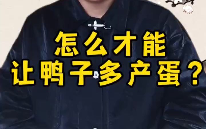 怎么才能让鸭子多产蛋?哔哩哔哩bilibili