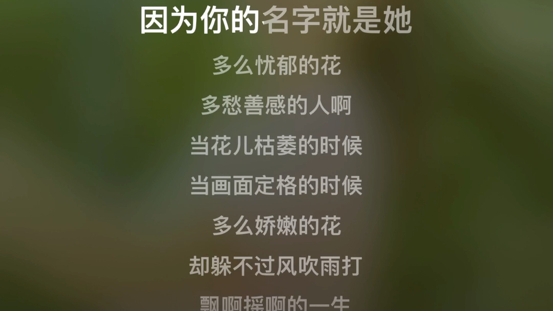 你听啊 有人在唱那首你最爱的歌谣啊 《丁香花》翻唱哔哩哔哩bilibili