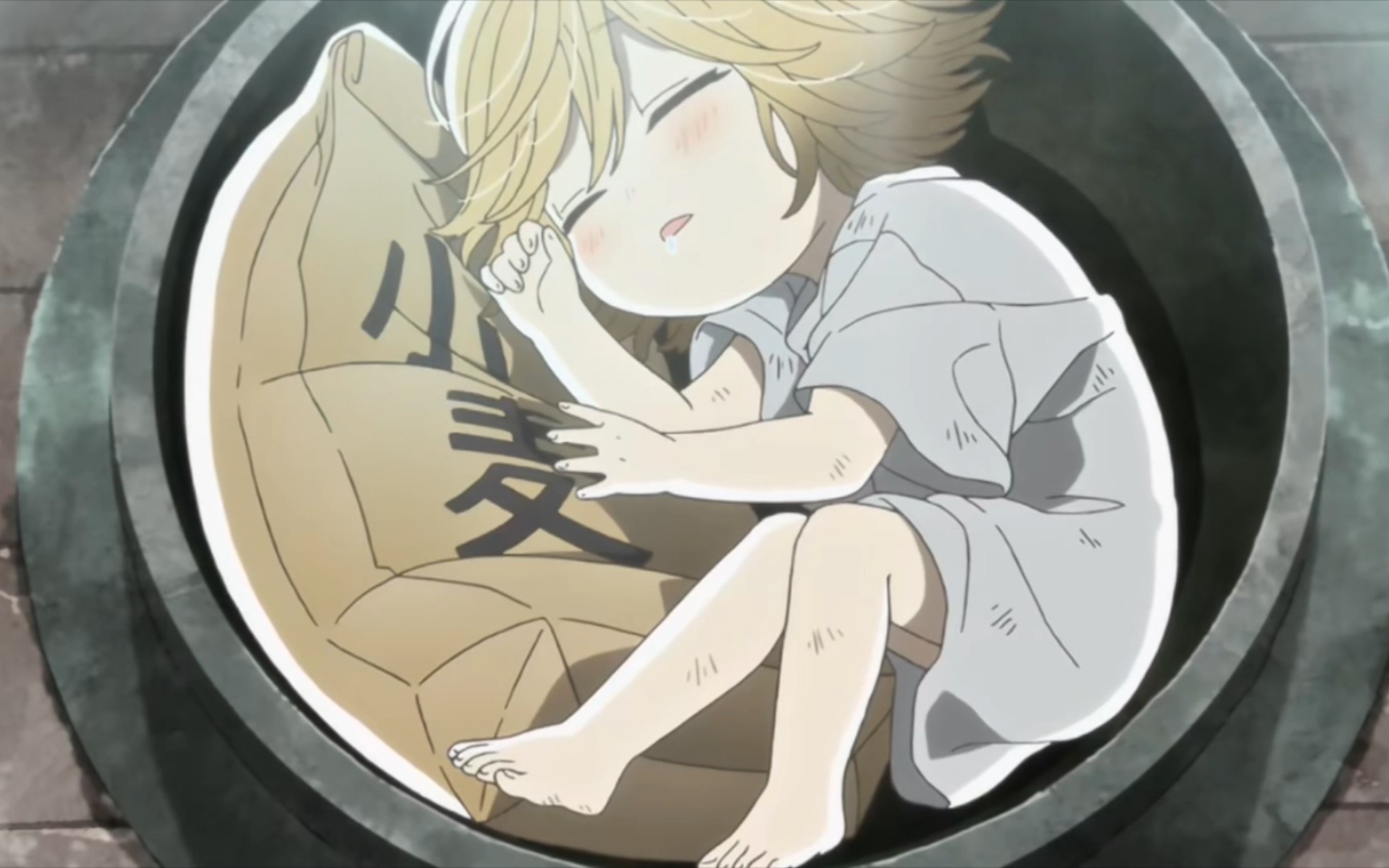 【乌冬面之国的金色毛球】这么可爱一定是小狸猫啦!