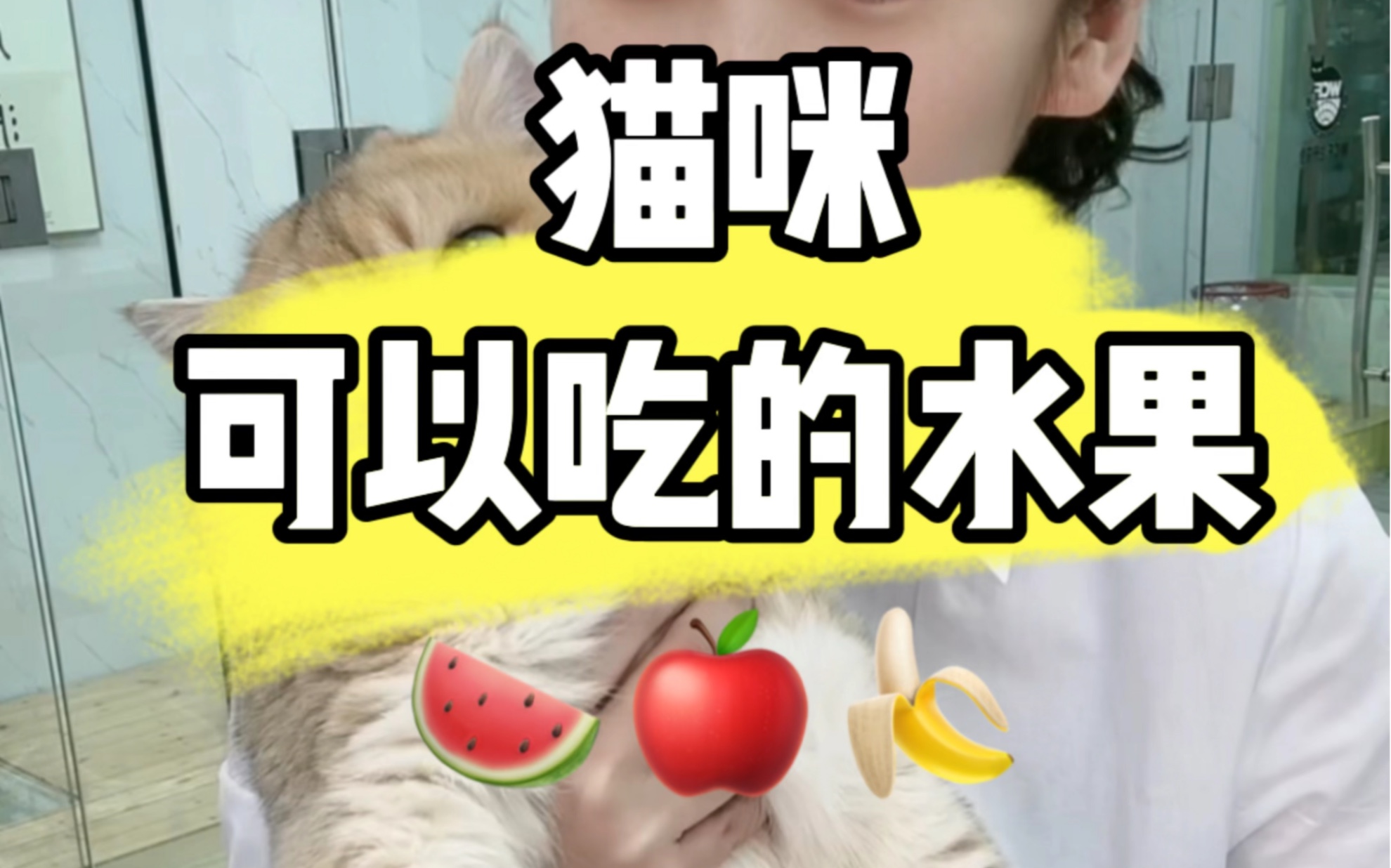 猫咪,可以吃哪些水果?哔哩哔哩bilibili