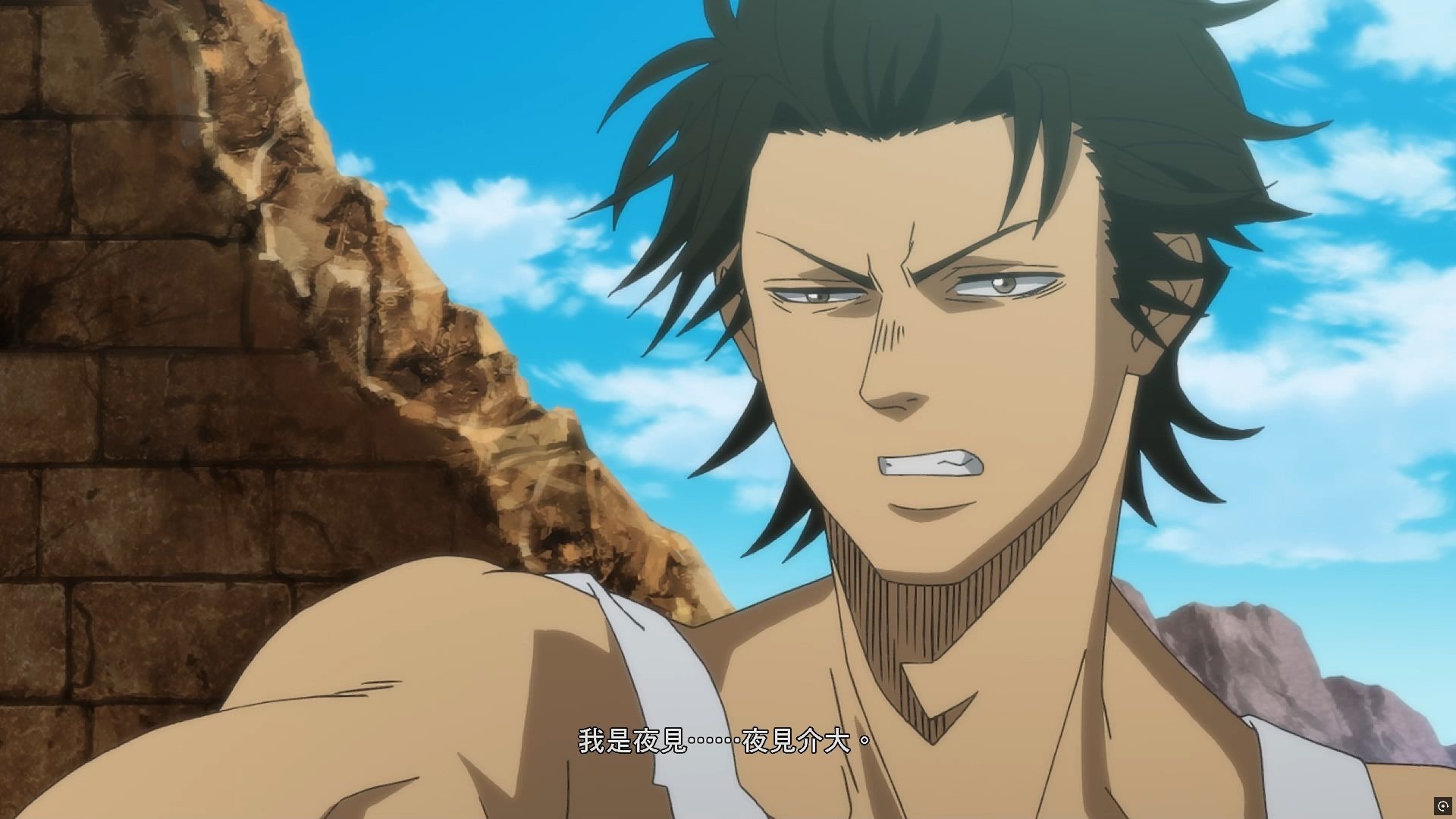 夜什么的,见什么的,没听说过