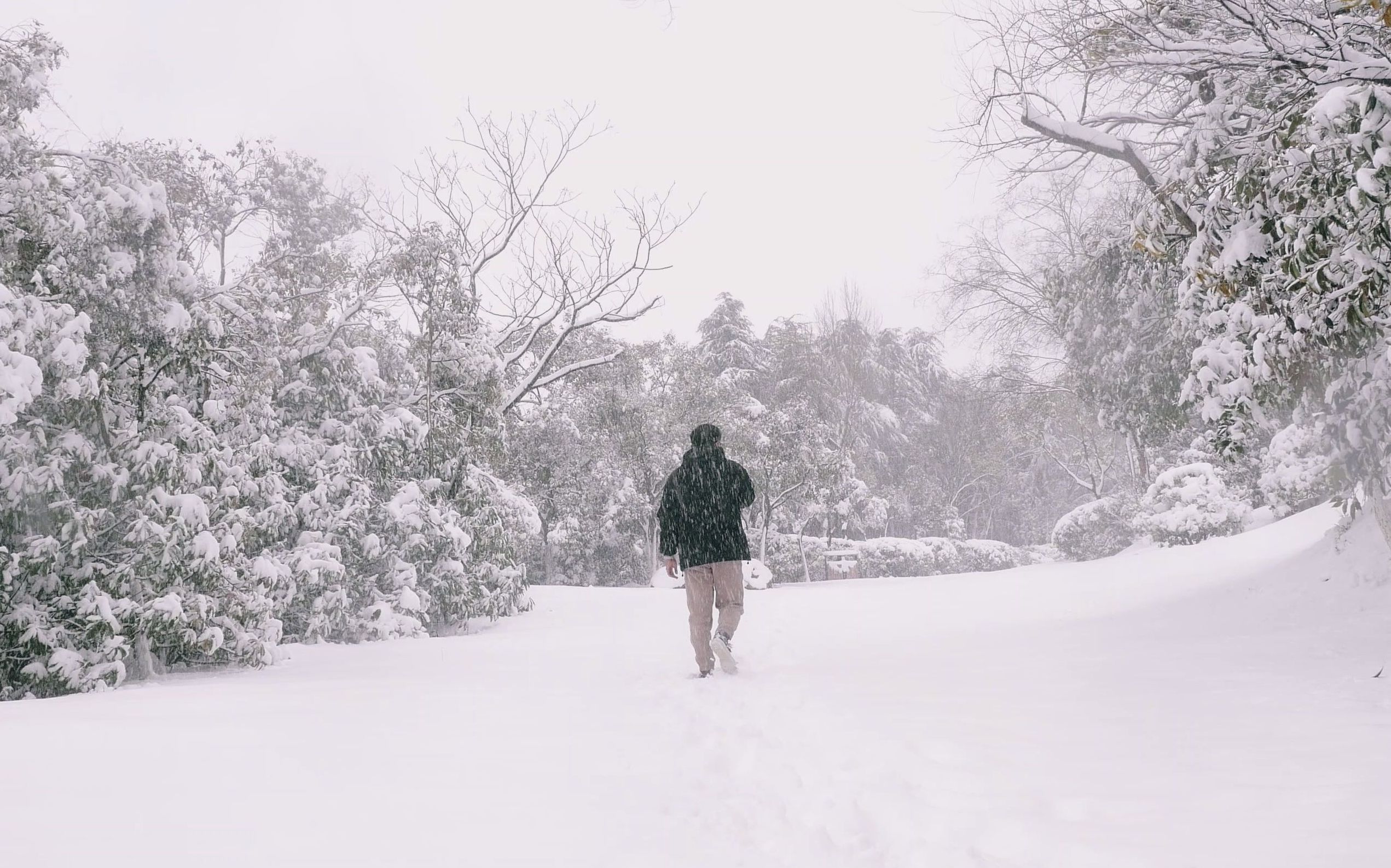 “雪落时,南京便成了金陵”,记录2022年南京第一场雪,跨越城南城北,踏雪迎春哔哩哔哩bilibili