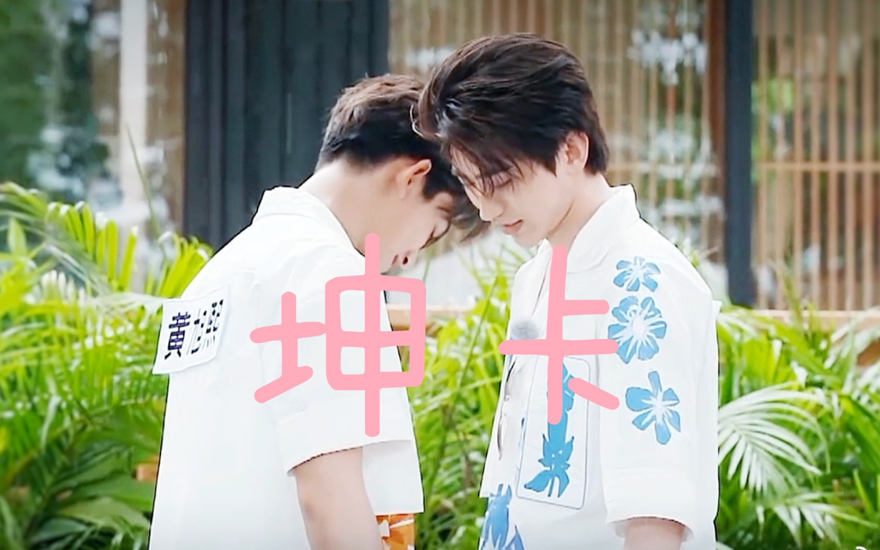 坤卡蔡徐坤ⅹ黄旭熙我天天都想念着圆圆的你