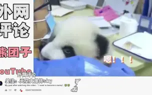 Скачать видео: 熊团子向奶妈“抱怨”国外走红，老外：我终于能听懂熊猫语言了