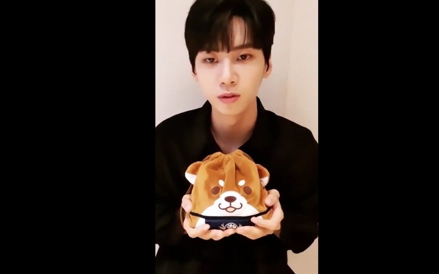 【Olaf中字】190722 Instagram直播 李镇赫 柴犬包揭秘哔哩哔哩bilibili