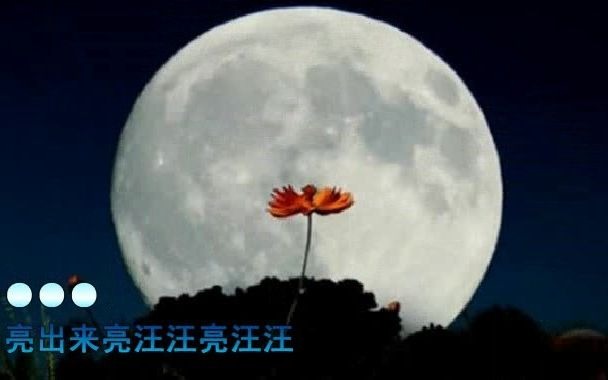 [图]元宵节送你《彩云追月》《花好月圆 》等十首经典歌曲，祝你节日快乐