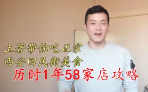 Tải video: 西安回民街最强美食攻略？泡馍小炒、烤肉、粉蒸肉、糕点、面食等