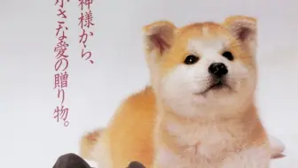 日文女声朗读 穿过县界长长的隧道 便是雪国 哔哩哔哩 Bilibili