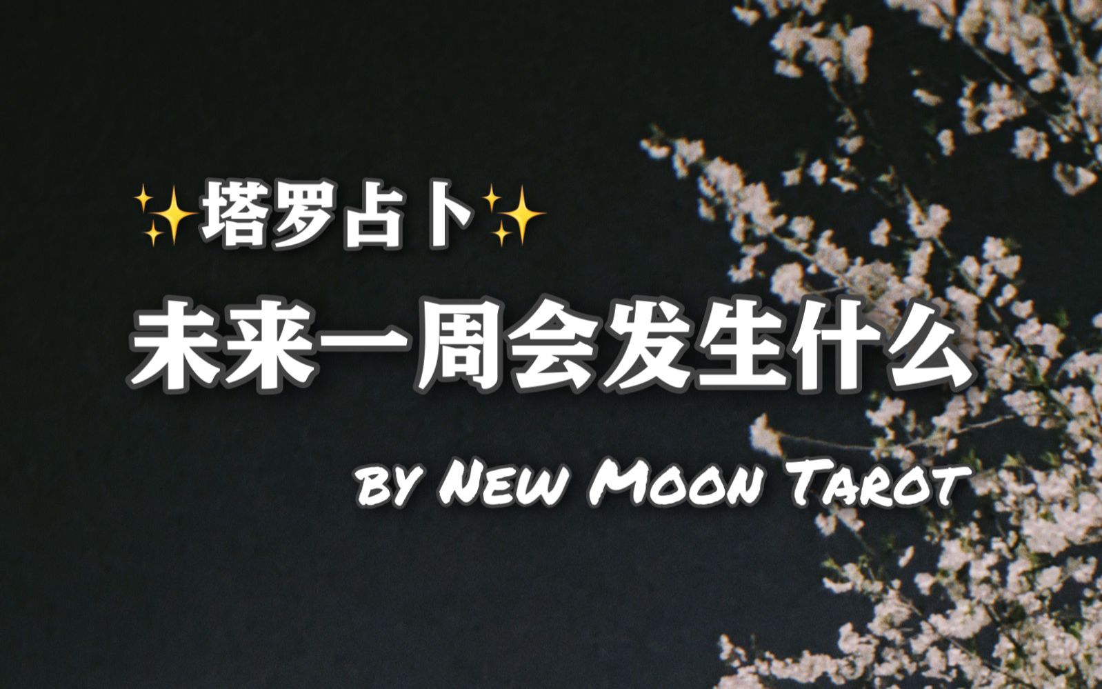 New Moon / 未来一周会发生什么 / 无时限 / 能量检测 CHARMS幸运物 / 塔罗占卜哔哩哔哩bilibili