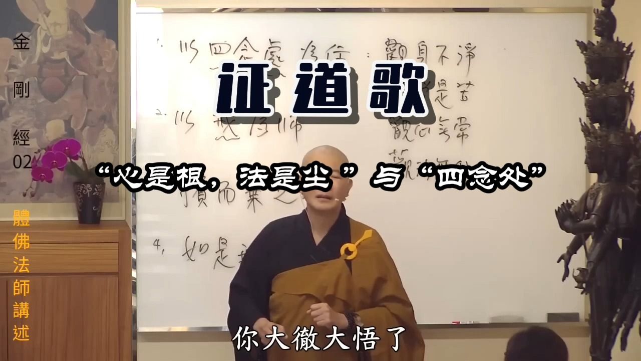 证道歌  体佛法师讲解【心是根,法是尘 ”与“四念处”】哔哩哔哩bilibili