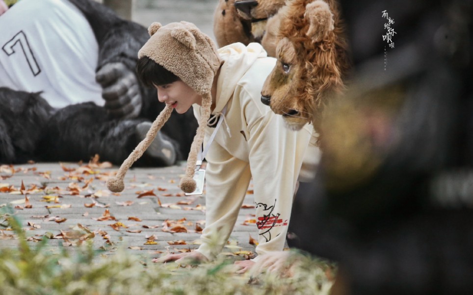 翟潇闻岛主为小企鹅们拼了